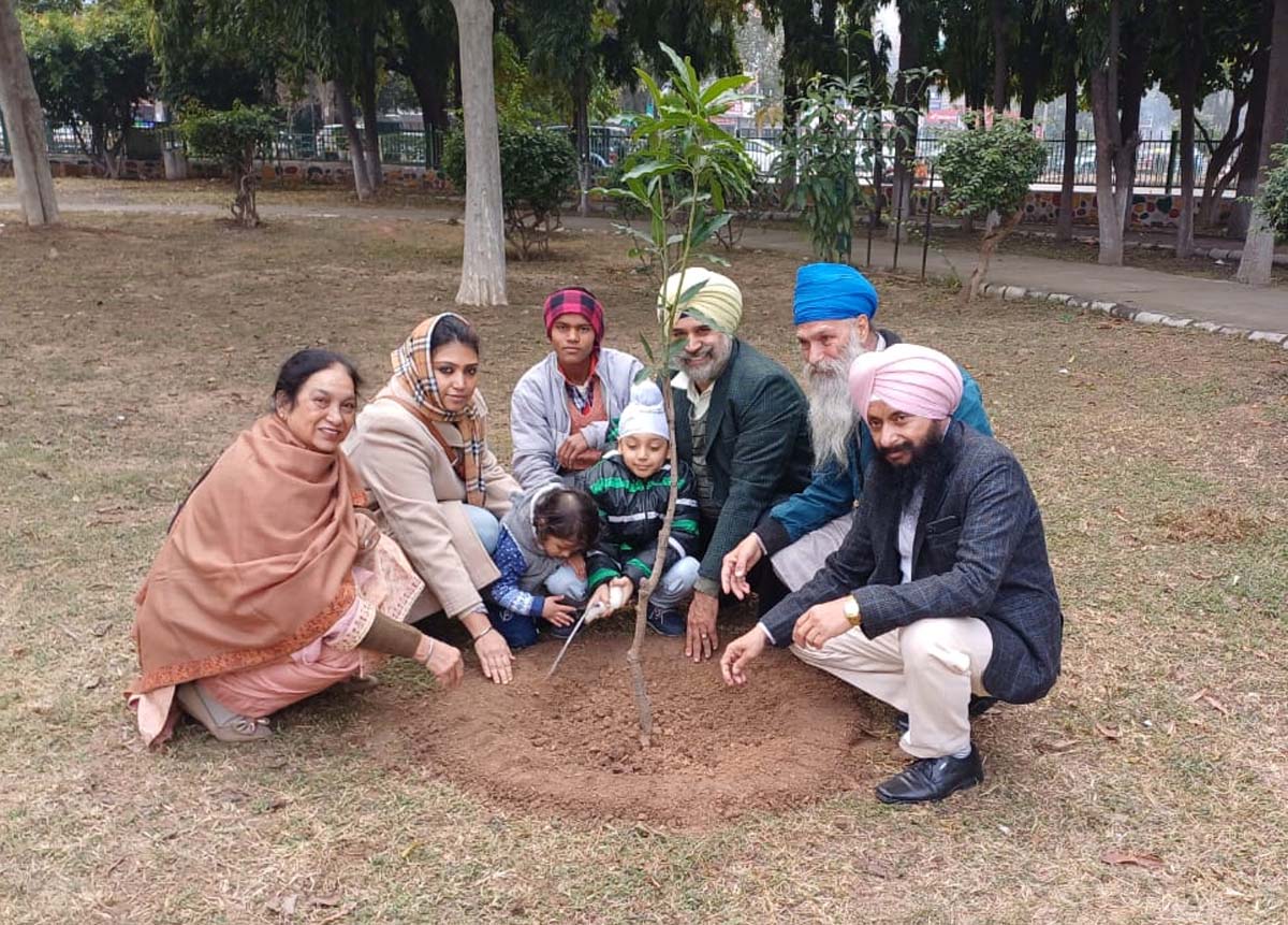 Saplings planted on grandson's birthday